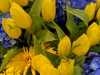 Tulipany, hortensje, gerbery