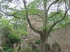 Zamek Bolczów